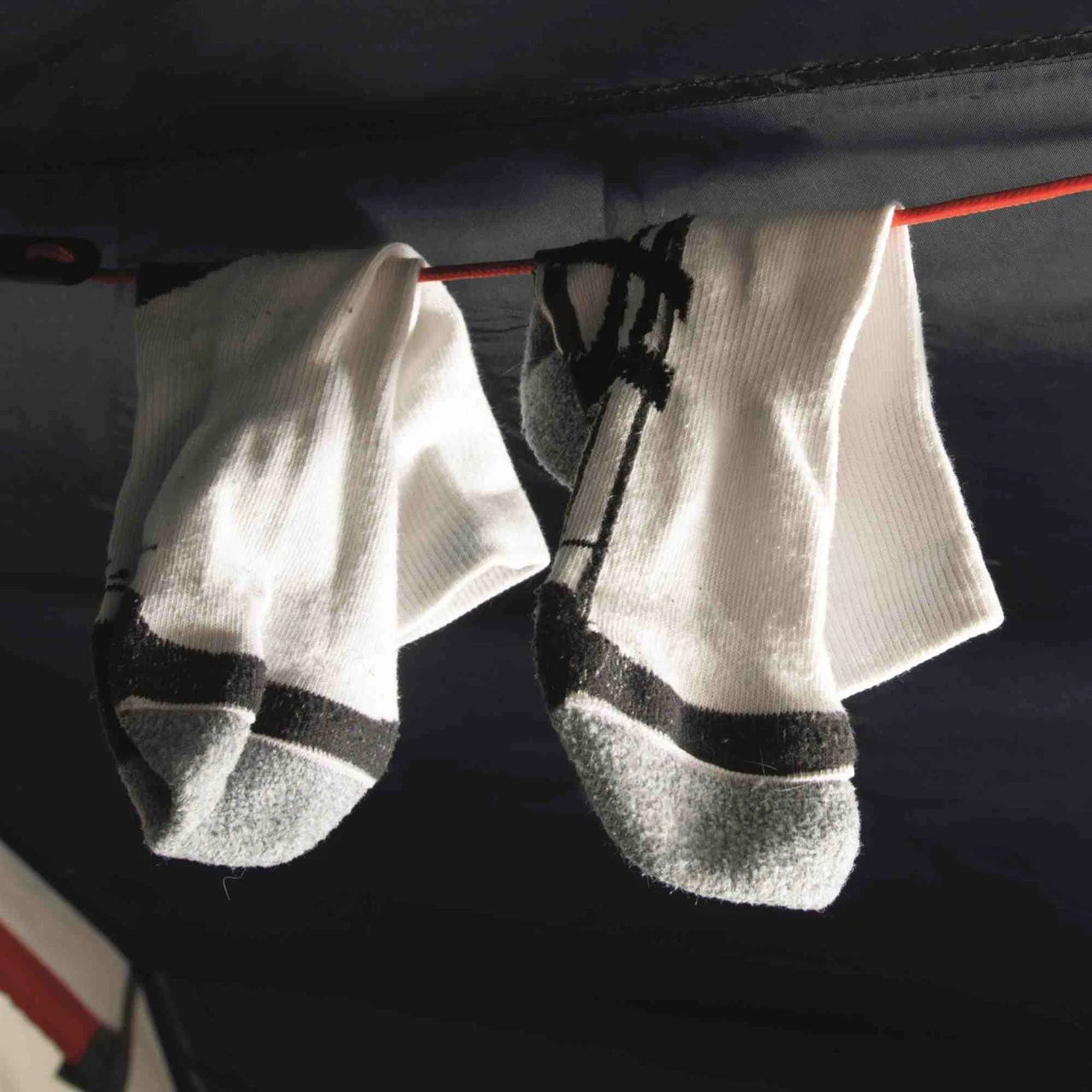 Easy Camp Energy 200 Compact 10 Easy Camp Energy 200 Compact – Bild 8